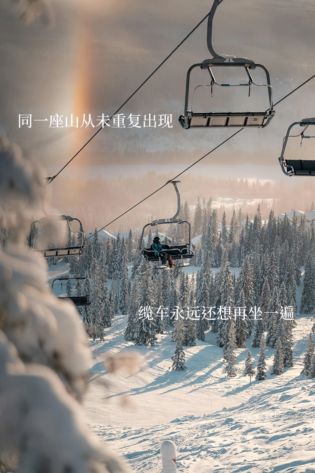 缆车穿过安静的雪林,期待下一趟滑行。