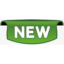 Never Purchased, Buying for the First Time / Purchased Before, Skipped Last Year, Buying Again This Year